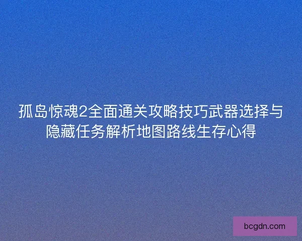 孤岛惊魂2全面通关攻略技巧武器选择与隐藏任务解析地图路线生存心得